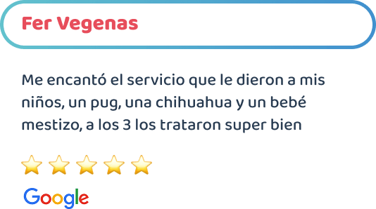 happy-friends-esterilizacion-canina-testimonios-07