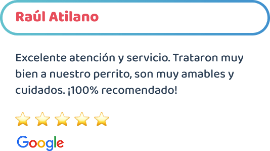 happy-friends-esterilizacion-canina-testimonios-08