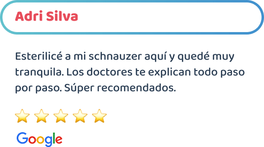 happy-friends-esterilizacion-canina-testimonios-09