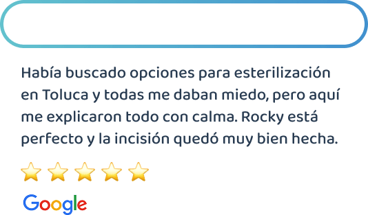 happy-friends-esterilizacion-canina-testimonios-10
